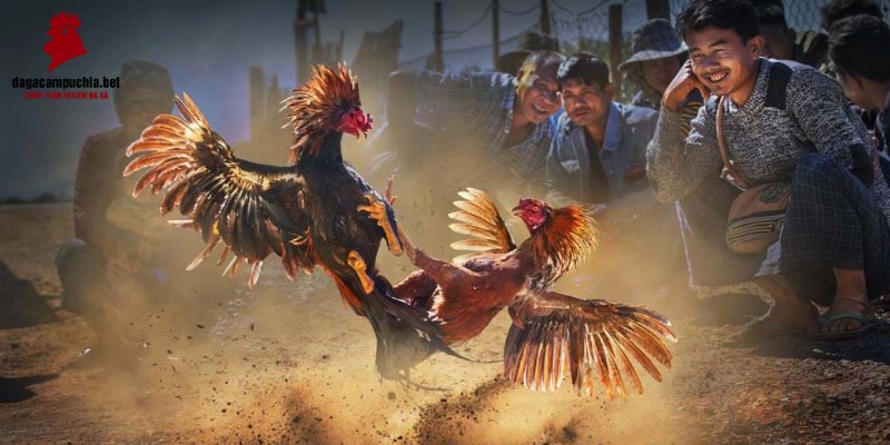 Tìm đúng nội dung về K188 - K188